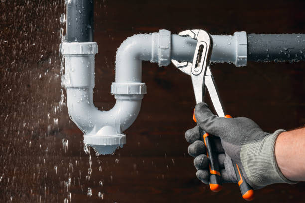 Professional Plumbing technician working in Thorp, WI